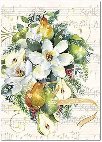 Punch Studio Magnolia Pear Boxed Christmas Cards