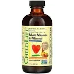 Childlife Multi Vitamin and Mineral Natural Orange Mango - 8 fl oz