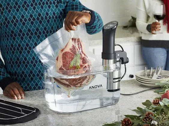 Anova Culinary Sous Vide Precision Cooker 2.0 (WiFi), 1000 Watts