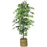 72" Artificial Ficus Tree in Basket - LCG Florals