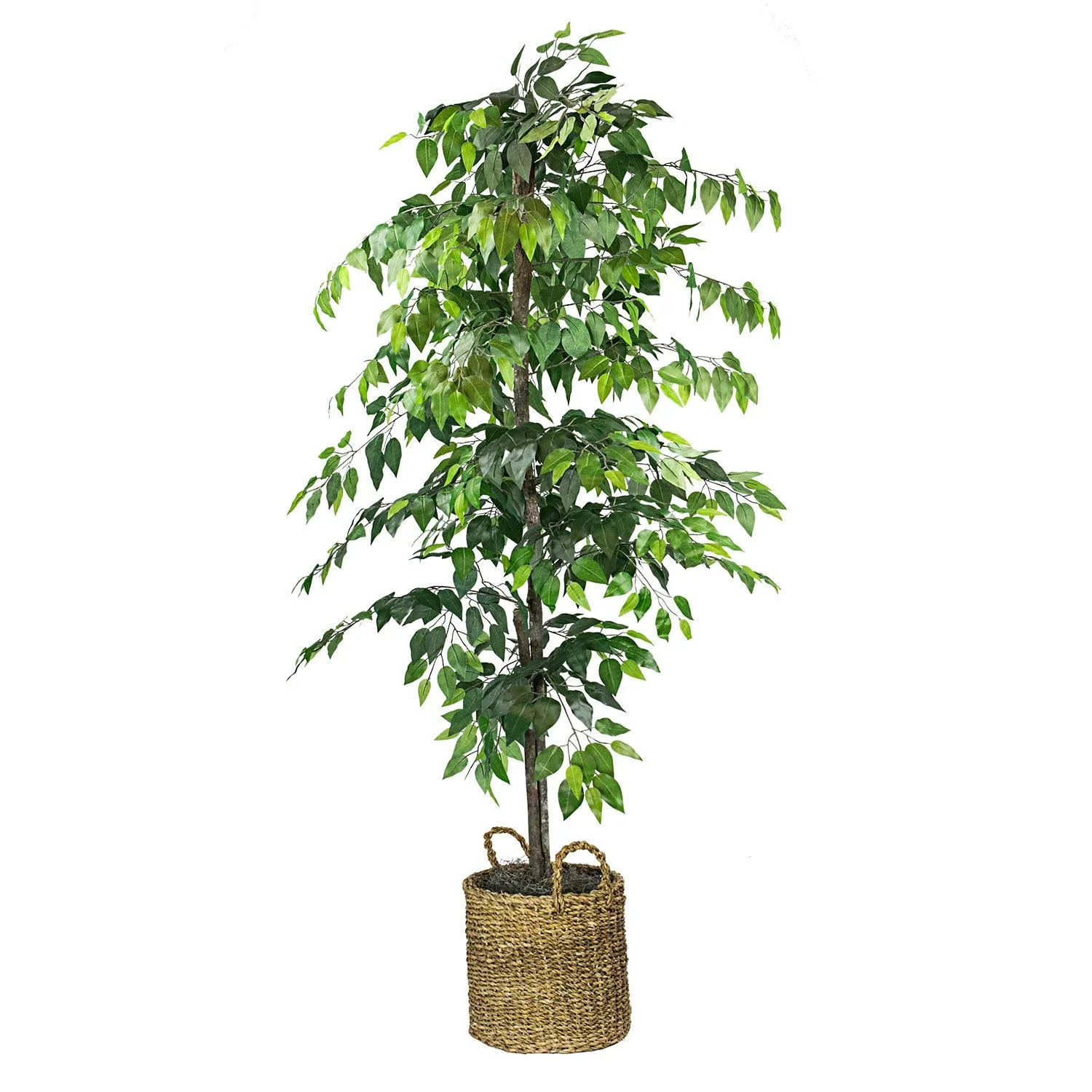 "72"" Artificial Ficus Tree in Basket LCG Florals