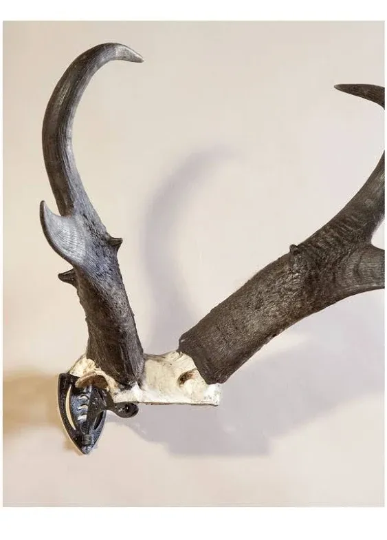 Skull Hooker Bone Bracket 