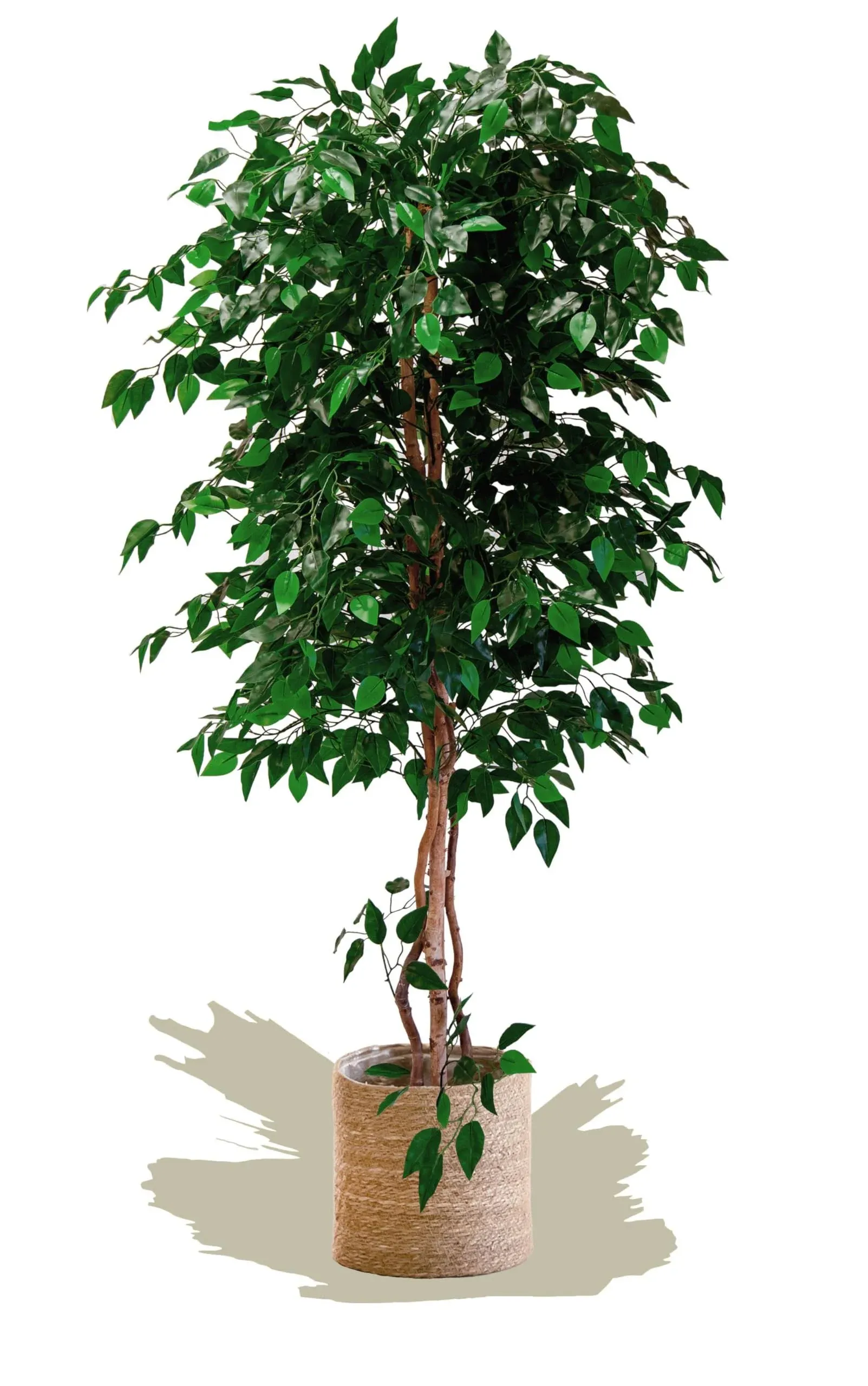 Lifelike Premium Artificial Tree - Low-Maintenanc<wbr/>e - 6 feet Tall - Versatile