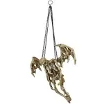 Design Toscano Suspending Death Gothic Hanging Skeleton Sculpture, Faux Bone Finish, 15 Inch