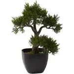 Nearly Natural 4966 Cedar Bonsai Artificial Tree, 15-Inch, Green