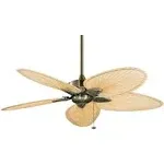 Fanimation Windpointe - 22 inch - Antique Brass with Natural Palm Narrow Oval Blades with Pull-Chain - FP7500AB