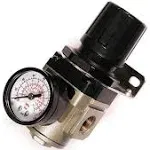 Primefit R3802G Intermediate Air Regulator with Steel-Protected Gauge at 100-psi, 3/8-Inch NPT