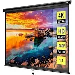 VIVOHOME Manual Pull Down Projector Screen