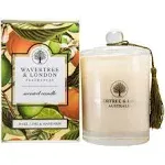 Wavertree & London Soy Candle - Basil Lime & Mandarin