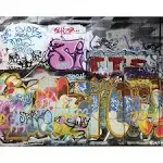 OhPopsi WALS0007 Graffiti Wall Mural, Multicolor