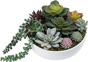 MyGift Artificial Succulent Pots, 8-Inch Modern Assorted Faux Succulents Plants Arrangement with White Round Ceramic Planter Pot