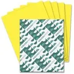 Neenah Wausau Paper 22531 Astrobrights Color Paper 8.5 x 11