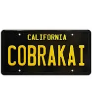 Cobra Kai Season 2 Johnny's Challenger Metal Stamped Replica Prop License Plate