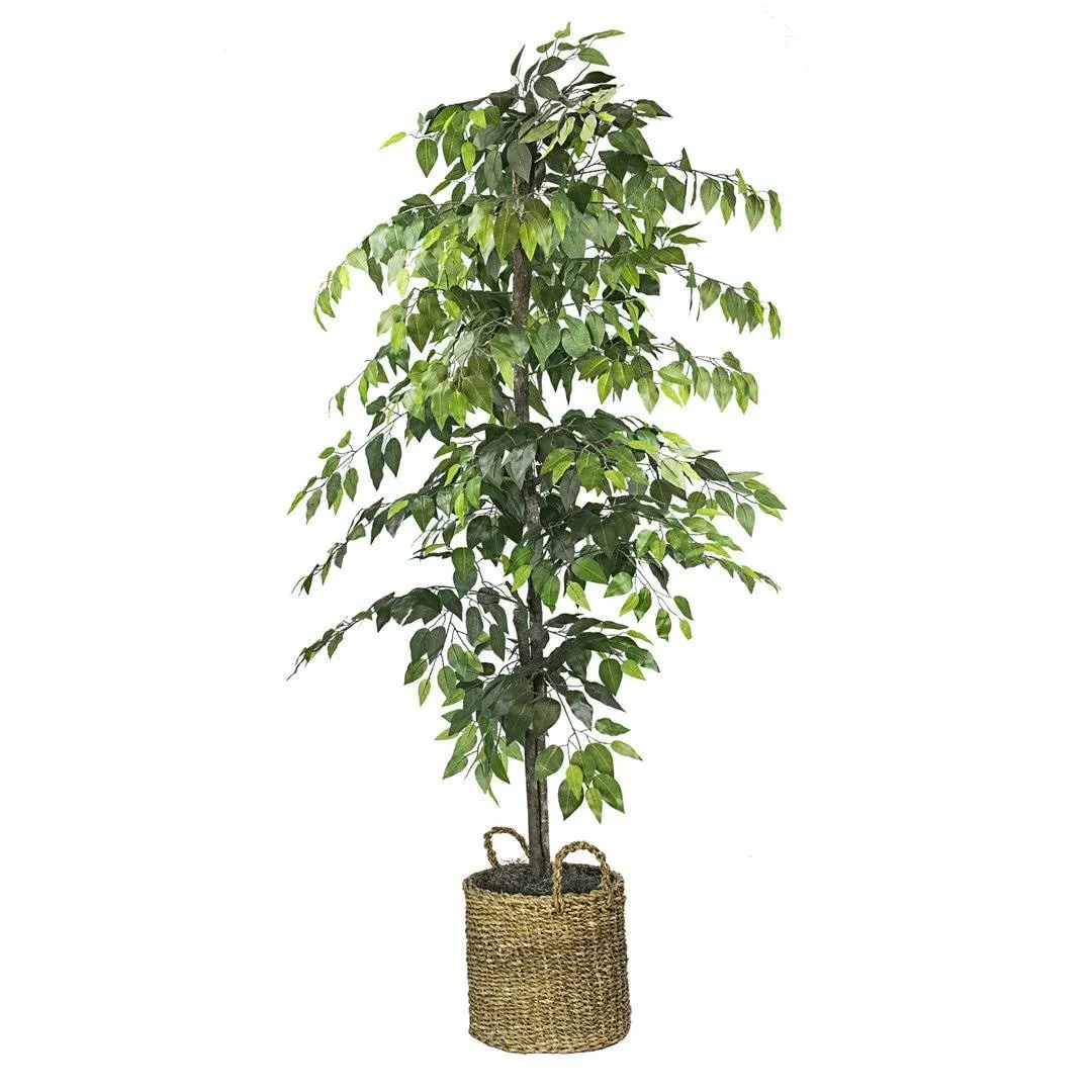 72" Artificial Ficus Tree in Handwoven Rattan Basket