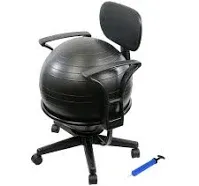 CanDo Metal Ball Chair with Arms