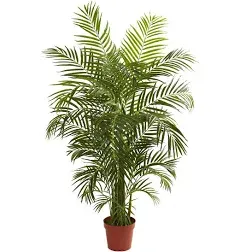 Nearly Natural 63in. Areca Artificial Palm Tree in Country White Planter UV Resistant (Indoor/Outdoor)