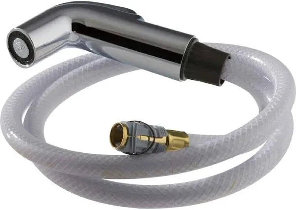 Delta Spray and Hose Assembly RP39345