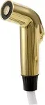 Delta RP39345PB Polished Brass Spray & Hose Assembly