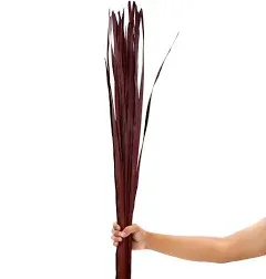 Leewadee Palm Leaves – Loose and Colored Decor Twigs for Floor Vases, Naturally Dried Arrangements for Home and Business Decorations