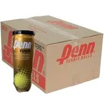 Penn World Tour Extra-Duty Tennis Balls, One Can / 3 Balls