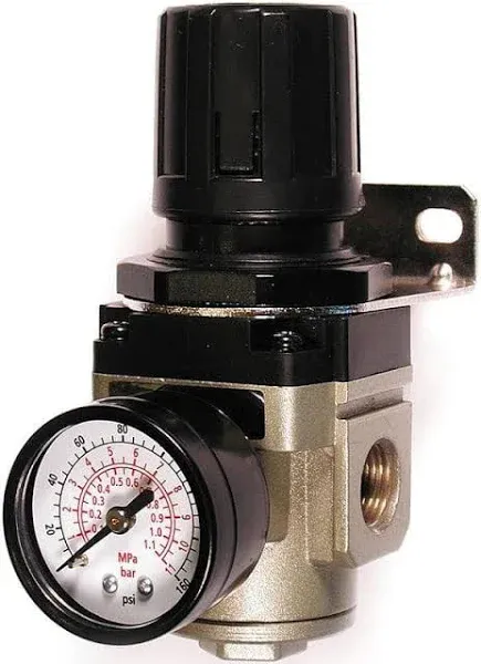 Primefit R3802G Intermediate Air Regulator with Steel-Protected Gauge at 100-PSI, 3/8-Inch NPT