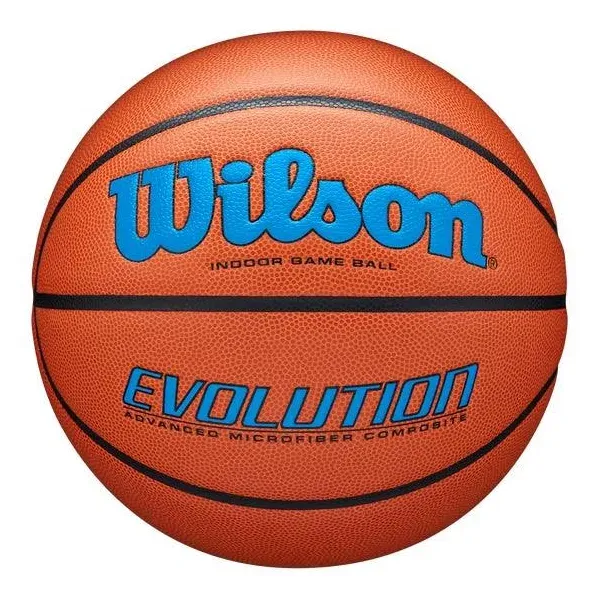 Wilson Evolution Game Basketball