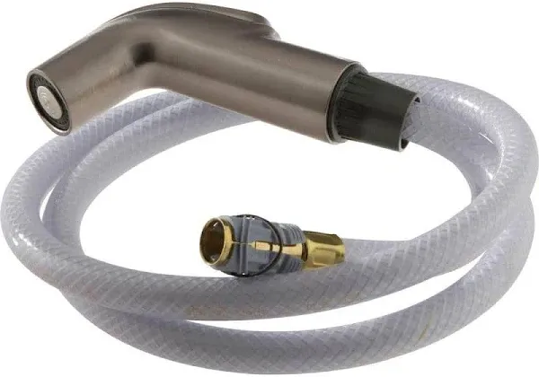 Delta Spray and Hose Assembly RP39345