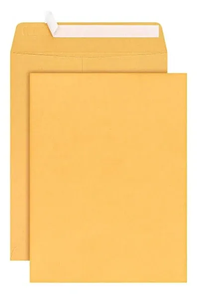 Amazon Basics 10 x 13-Inch Gummed Clasp Kraft Envelopes