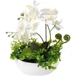 Orchids Artificial Flowers 14 Large Fake Orchid White Phalaenopsis Orchid Flower