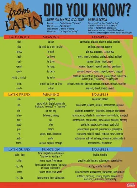 Latin Language Common Roots Poster