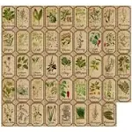 Herb and Spice Apothecary Labels