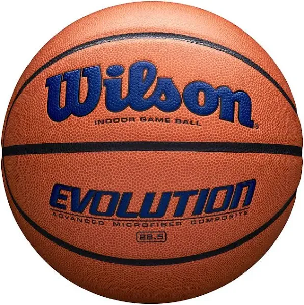 Wilson Evolution Game Basketball