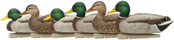 Avian X Open Water Mallard Floating Decoys