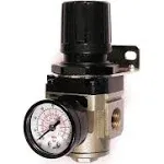 Primefit R3802G Intermediate Air Regulator with Steel-Protected Gauge at 100-psi, 3/8-Inch NPT