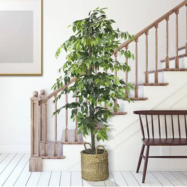 LCG Florals Artificial Ficus Tree in Basket