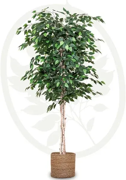 Maia Shop Artificial Ficus Tree 6ft Tall Tropical Home Decoration,71&#034; (Open Box)