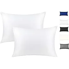 100% Mulberry Silk Pillowcase for Hair and Skin, Both Side 19 Momme Silk with Hidden Zipper,2 Pack (White, Queen)