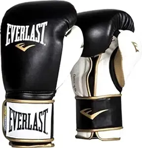 Everlast PowerLock Speed Bag