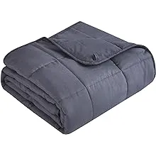 Topcee Weighted Blanket (20lbs 60"x80" Queen Size) for Adult All-Season Summer Fall Winter Cooling Breathable Heavy Microfiber Material with Glass Beads Big Blanket Soft Thick Comfort