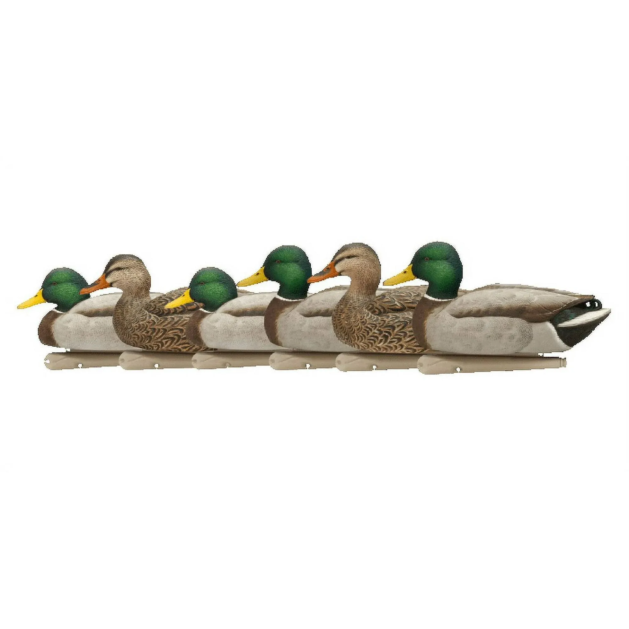 AVIAN X Open Water Mallard Floating Decoys - 6/PK