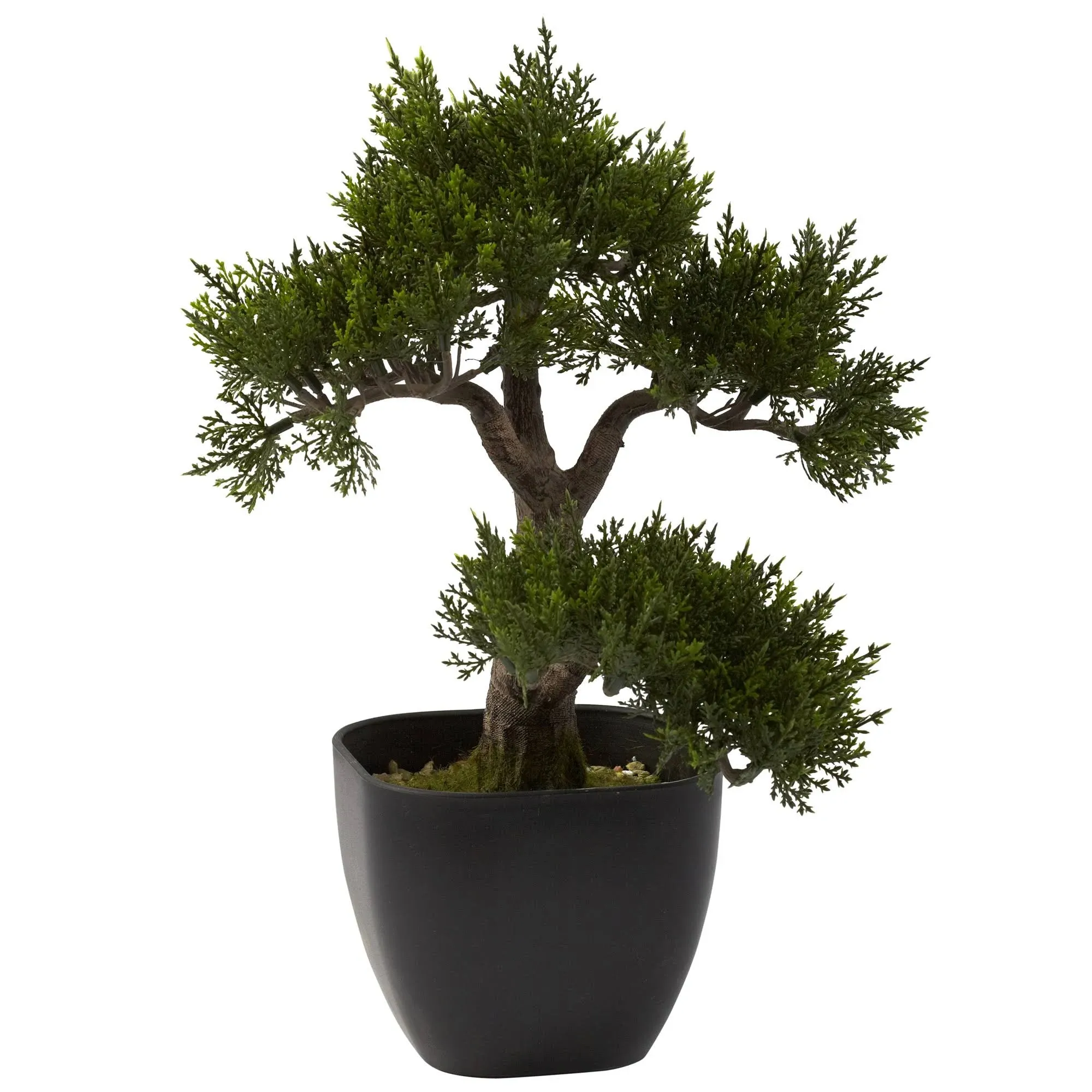 15” Cedar Bonsai - Modern - Artificial Plants And Trees - by VirVentures | Houzz