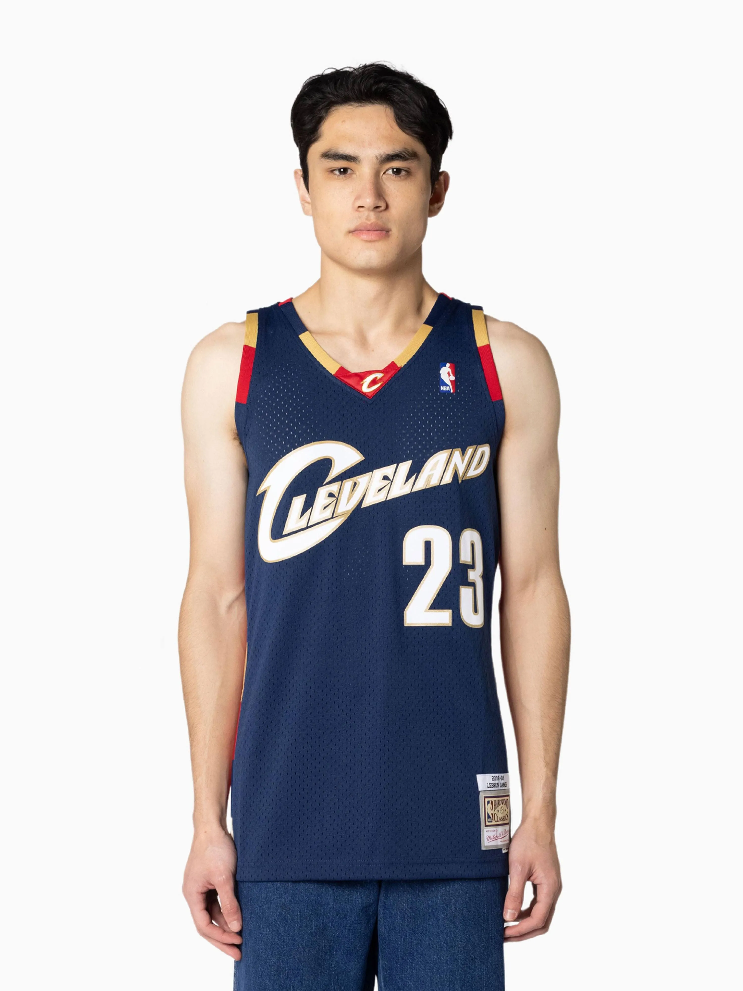 Mitchell & Ness Cleveland Cavaliers Alternate 2008-09 LeBron James Swingman ...