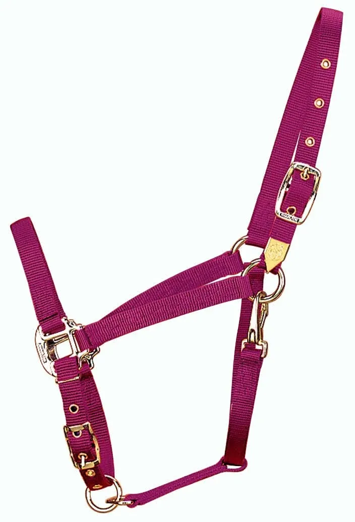 Hamilton 3/4-Inch Nylon Arabian Horse Halter with Adjustable Chin and Throat Snap, Average, 800 to 1100 pounds, Wine