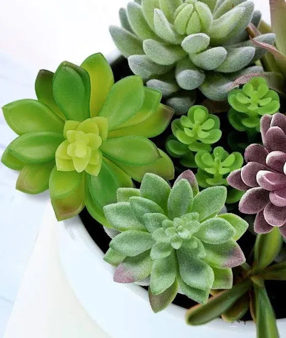 Artificial Plants Succulents Faux Succulents Decor Premium Crafting DIY Floral ...