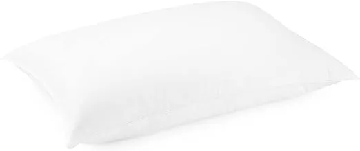 DOWNLITE Luxury White Goose Down Chamber Pillow – Hypoallergenic – Popular Hotel Pillow - Queen 20" x 30"
