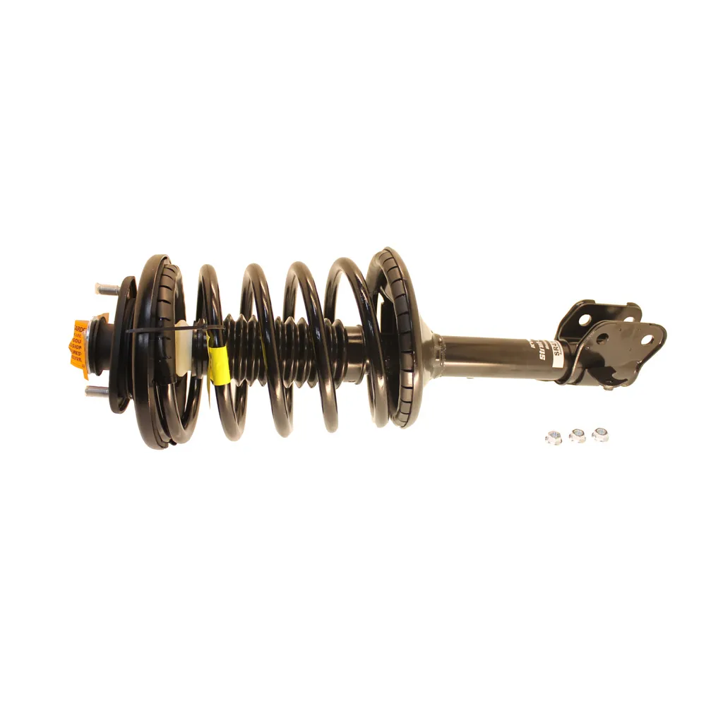 Strut and Coil Spring Assembly