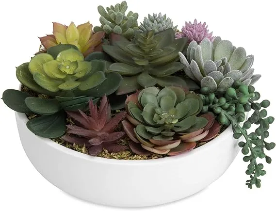 MyGift Artificial Succulent Pots, 8-Inch Modern Assorted Faux Succulents Plants Arrangement with White Round Ceramic Planter Pot