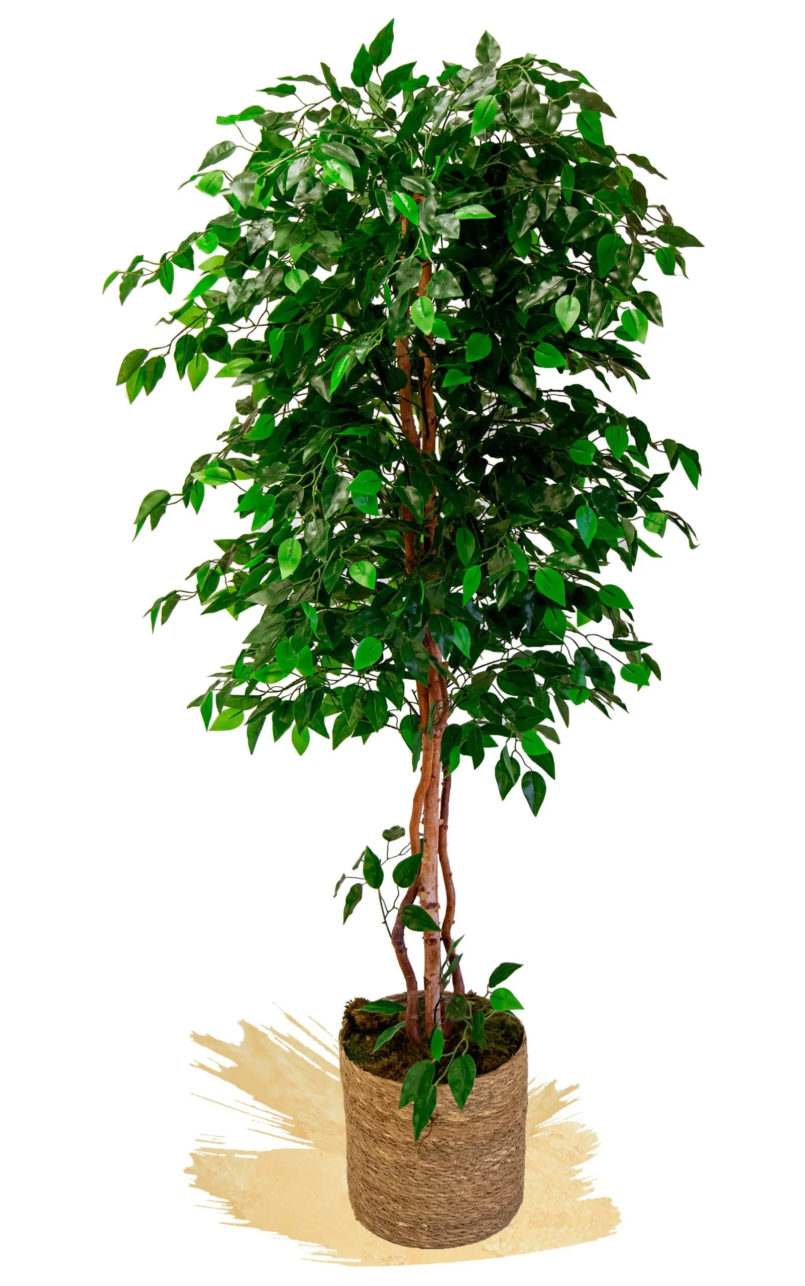 Maia Shop Artificial Ficus Tree 6FT Tall, Fake Tree with Natural Wood Trunk and Realistic Leaves, Faux Silk Plant Made with The Best Materials, Faux Potted Tree for Home Decor Indoor, 71 inches