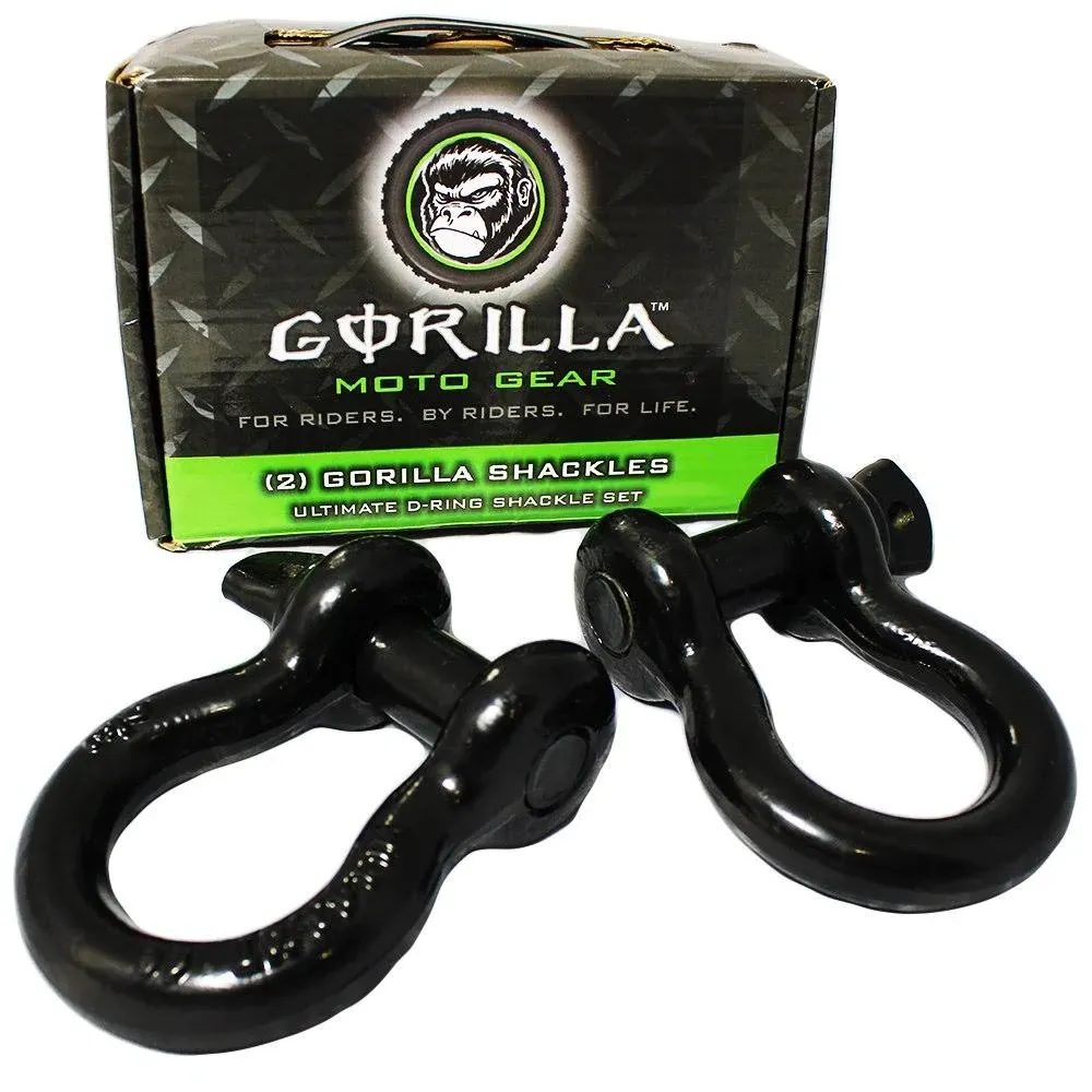 Rhino USA 3/4" D-Ring Shackle Set (2-Pack)