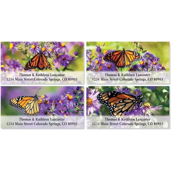 Wildflower Monarch Personalized Deluxe Address Labels - Set of 144 (4 Designs), Self-Adhesive, Flat-Sheet Rectangle Labels, by Colorful Images